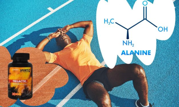 Beta-alanine remt verzuring van de spieren af